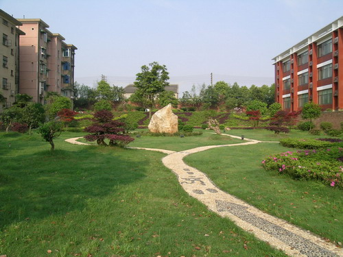 绿化小区2